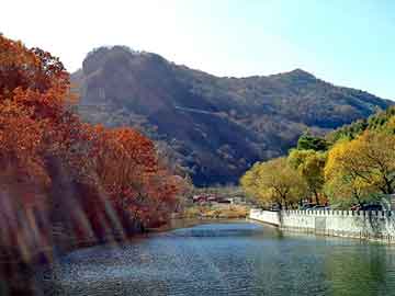 澳門最精準(zhǔn)免費(fèi)資料大全旅游團(tuán)——探索澳門之旅，澳門旅游團(tuán)探索之旅，最精準(zhǔn)免費(fèi)資料大全