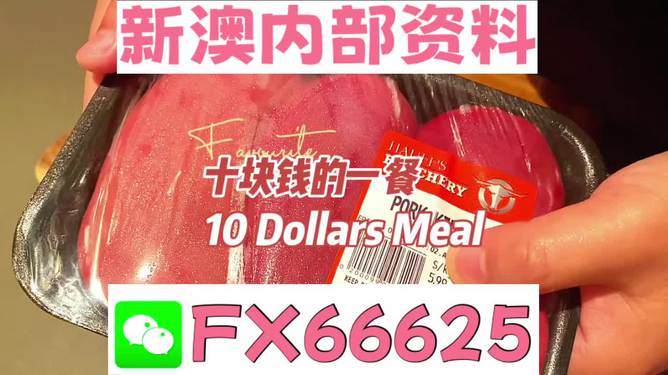 新澳最精準正最精準大全，一網(wǎng)打盡最新信息，新澳最新信息大全，一網(wǎng)打盡最精準資訊