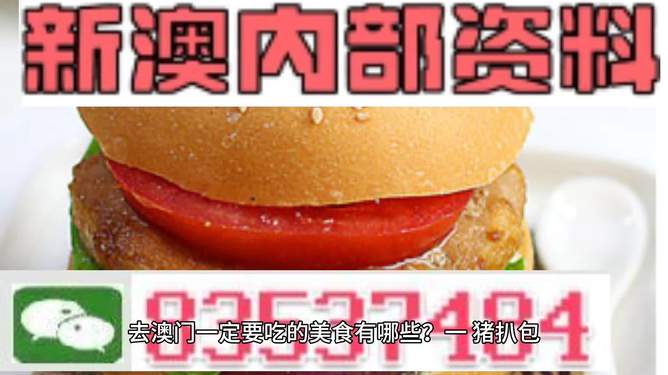 新門內(nèi)部資料精準(zhǔn)大全，一網(wǎng)打盡所有你需要知道的資訊，新門內(nèi)部資料大全，一網(wǎng)打盡所有必備資訊