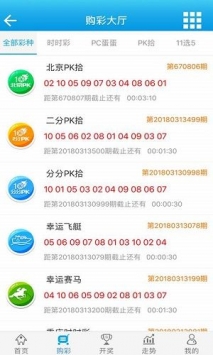 澳門免費資料大全，探索多元文化資源的寶庫，澳門多元文化資源的寶庫，免費資料大全探索之旅