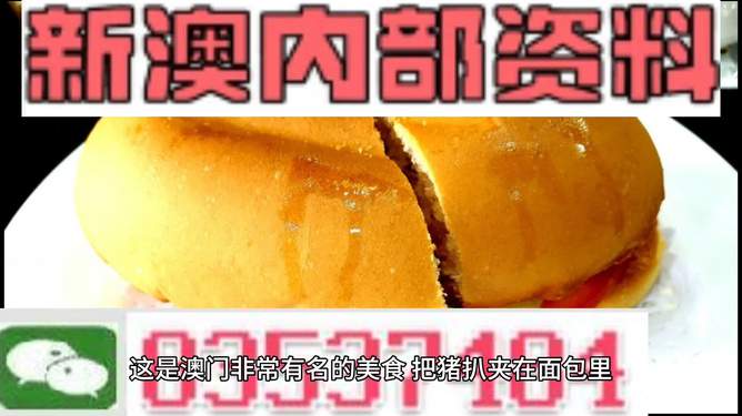 澳門最精準(zhǔn)免費資料大全特色，澳門最全免費資料大全特色解析