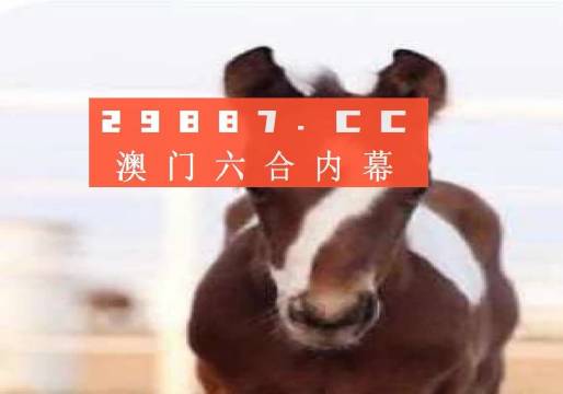 新澳門一碼一碼，探索真實的100%準確率，澳門一碼一碼揭秘，真實探索與百分百準確率揭秘