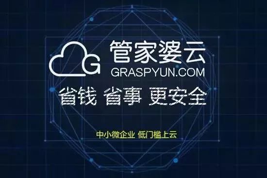 揭秘管家婆一碼一肖，神秘面紗背后的真相，揭秘管家婆一碼一肖，神秘面紗背后的真相探秘