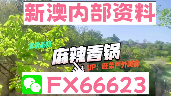 新澳精準(zhǔn)資料，探索與解讀，新澳精準(zhǔn)資料，深度探索與解讀