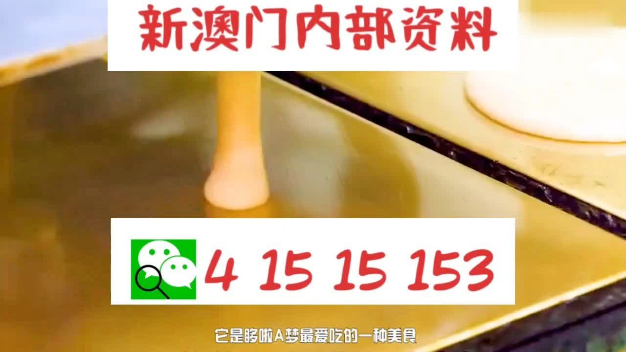 新澳門資料大全正版2025年免費下載指南——家野中特獨家解析，澳門正版資料大全2023年免費下載指南，家野中特獨家解析