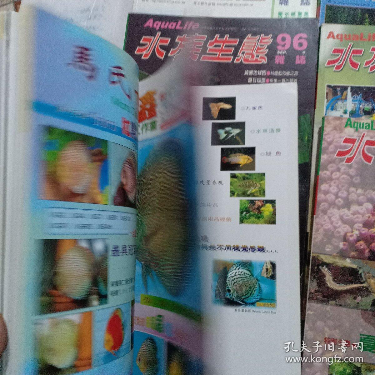 澳門王中王100%期期中一期，揭秘彩票背后的秘密，澳門王中王彩票揭秘，期期中背后的秘密真相探索