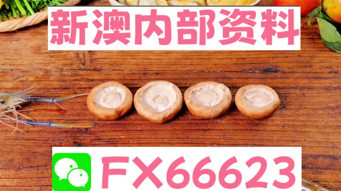 新澳全年免費(fèi)資料大全，一網(wǎng)打盡各類資源，新澳全年免費(fèi)資料大全，各類資源一網(wǎng)打盡