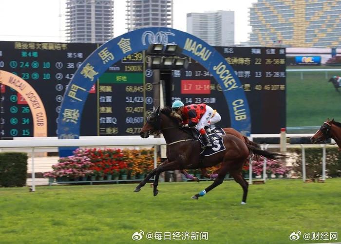 澳門賽馬會(huì)網(wǎng)址大全免費(fèi)——全方位指南，澳門賽馬會(huì)網(wǎng)址大全及免費(fèi)參與指南