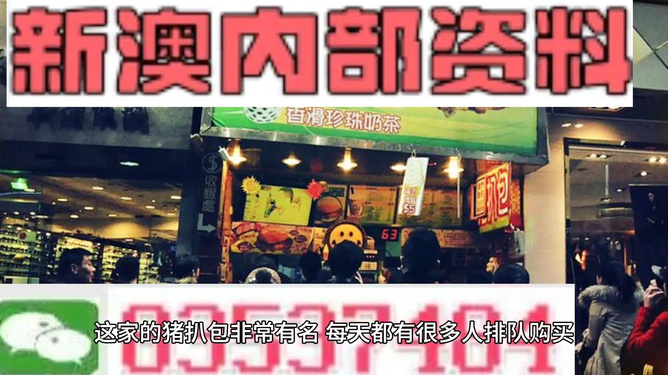2025新澳精準資料大全 第17頁