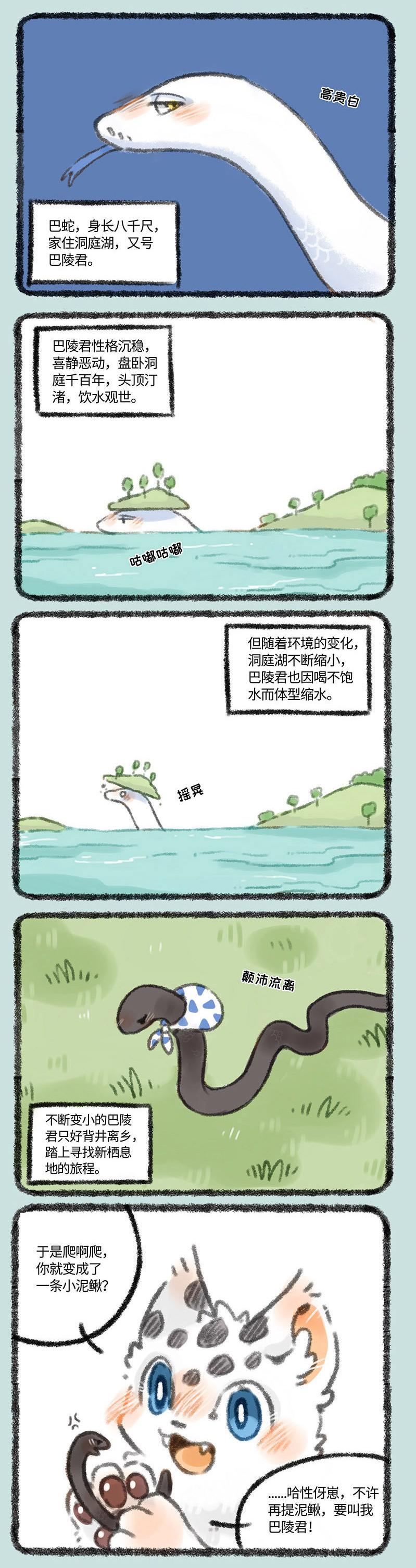 四不像正版，探尋網(wǎng)絡(luò)時代的正版新定義，網(wǎng)絡(luò)時代下的正版新定義探尋，四不像正版揭秘
