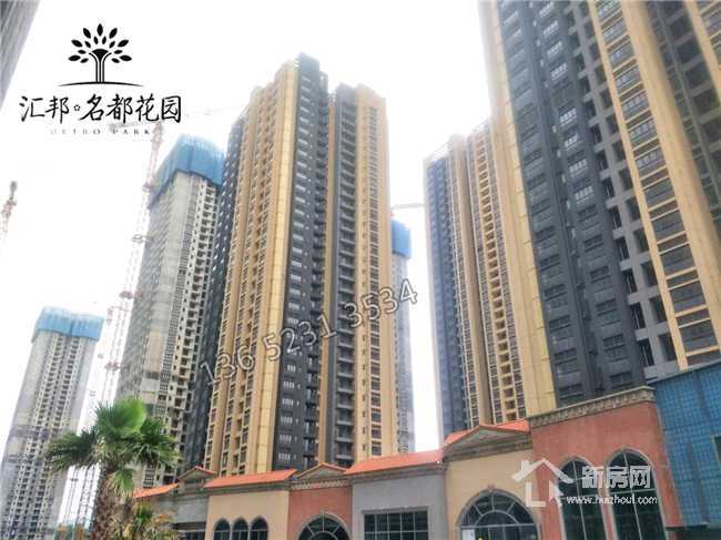 揭秘白小姐三期必出一肖種特的神秘面紗，揭秘白小姐三期必出一肖種特的秘密傳奇