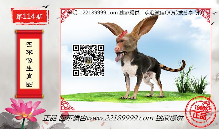 四不像資料免費大全——網(wǎng)絡(luò)時代的寶藏探索，四不像資料免費大全，網(wǎng)絡(luò)時代的寶藏深度探索