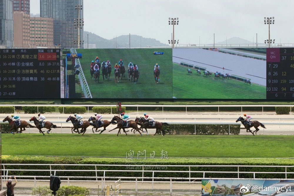 2025新澳門今晚開特馬直播——探索未來的澳門賽馬盛況，澳門賽馬盛況直播，探索未來的新澳門特馬之夜