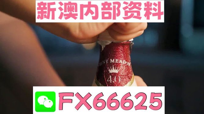 新澳門(mén)一碼一碼，揭秘100%準(zhǔn)確預(yù)測(cè)的魅力，揭秘新澳門(mén)一碼一碼預(yù)測(cè)準(zhǔn)確率百分之百的秘密