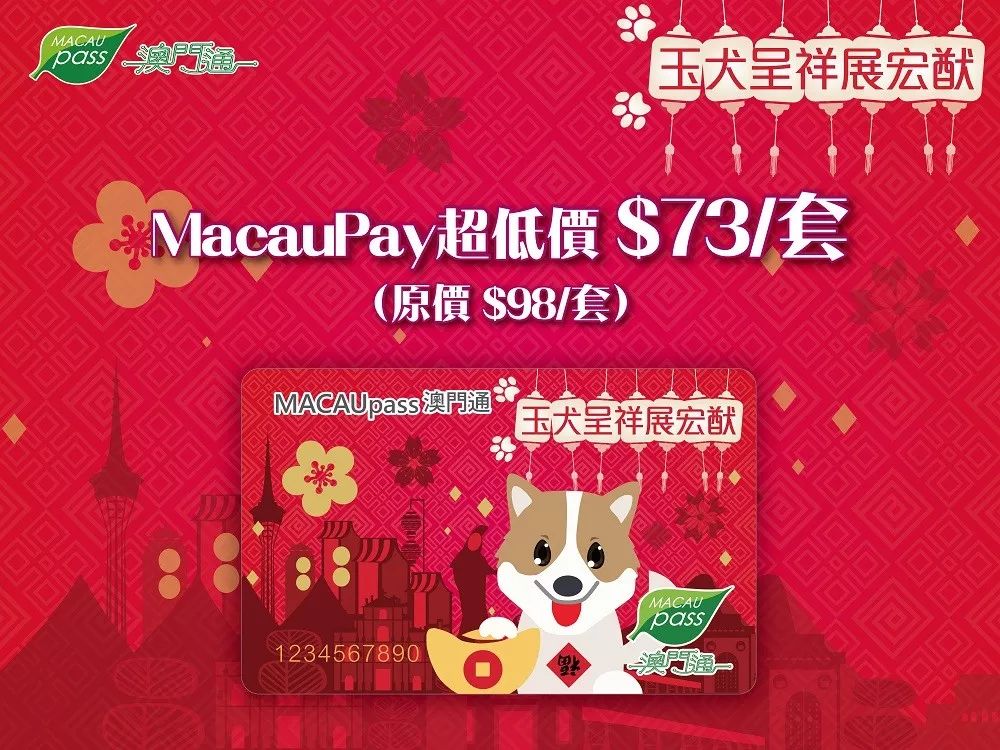 澳門正版資料大全資料生肖卡的魅力與探索，澳門正版資料大全揭秘生肖卡的魅力與探索之旅