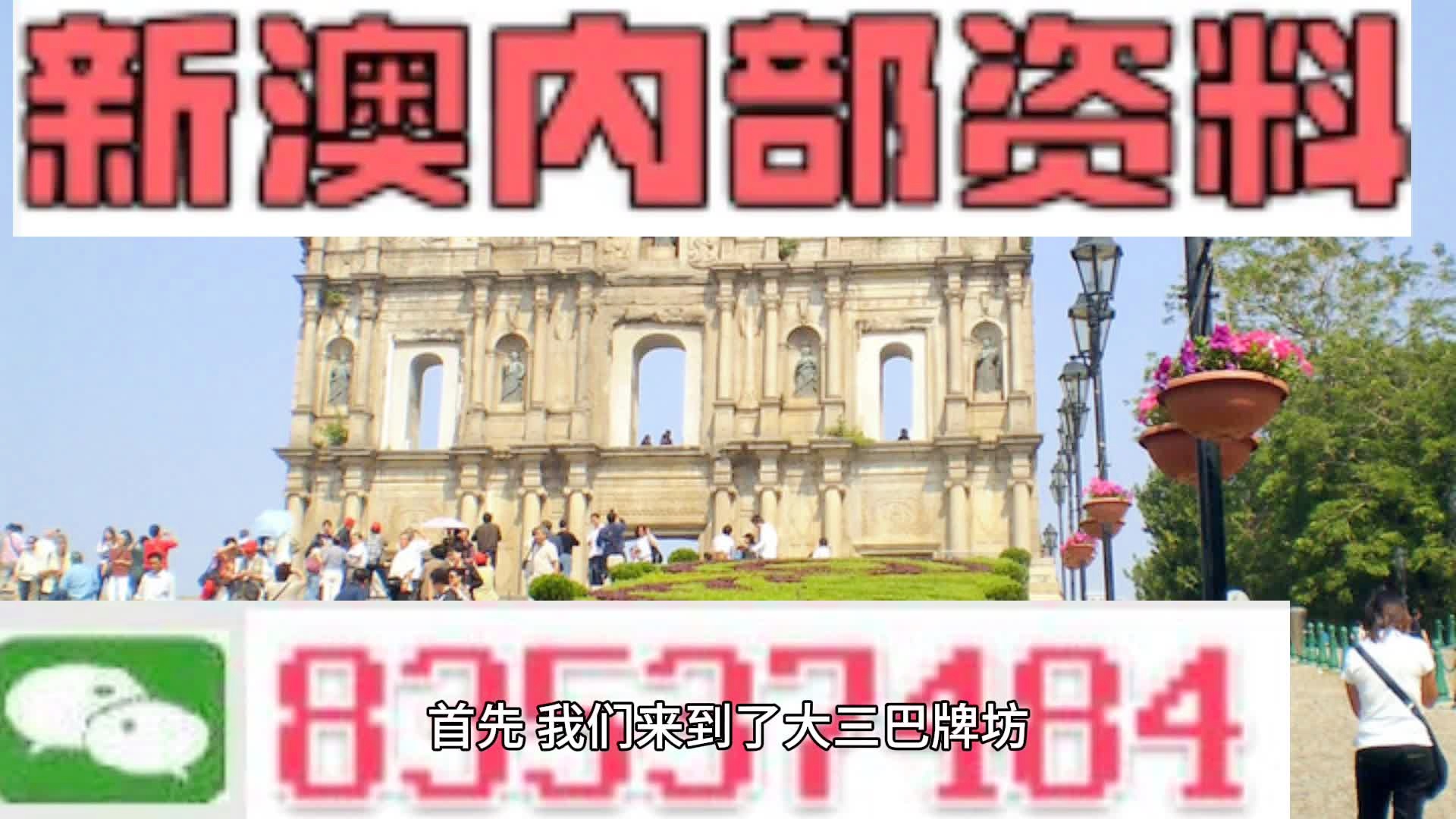 新澳門一肖中，揭秘期期準(zhǔn)的奧秘，揭秘新澳門一肖中，期期準(zhǔn)的奧秘所在