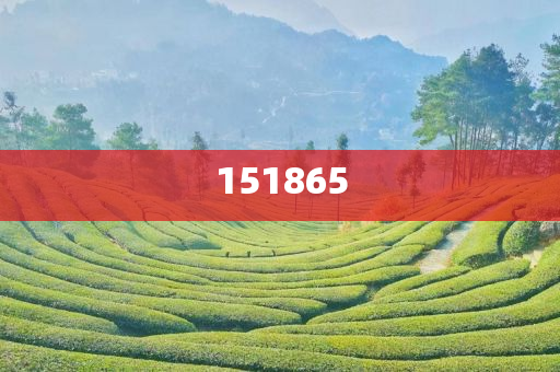 探索未來(lái)之門(mén)，2025新澳門(mén)精準(zhǔn)免費(fèi)大全，探索未來(lái)之門(mén)，2025新澳門(mén)精準(zhǔn)免費(fèi)大全概覽