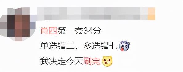 一碼一肖一特早出晚160，探索與解析，一碼一肖一特早出晚解析與探索
