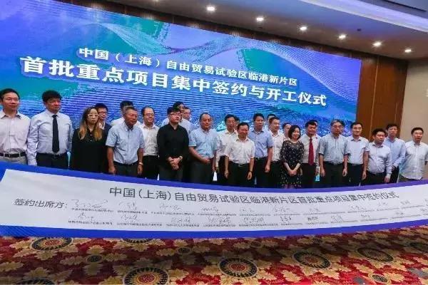 新奧天天免費(fèi)資料大全下載安裝全攻略，新奧天天免費(fèi)資料大全，下載、安裝全攻略及資料庫(kù)使用指南