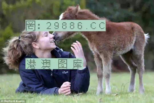 澳門今晚必開一肖一特，深度解析與預(yù)測，澳門今晚生肖特碼深度解析與預(yù)測，一肖一特必開趨勢探討