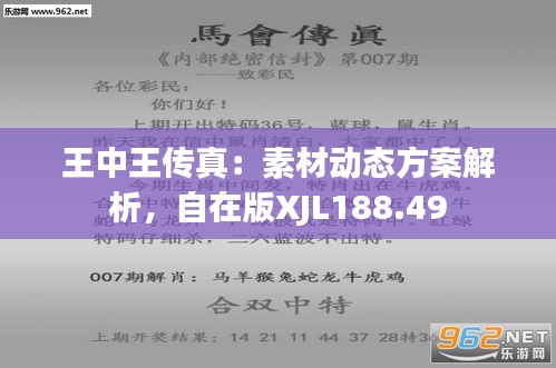 揭秘王中王傳真，7777788888的使用方法，揭秘王中王傳真，使用方法詳解 7777788888指南