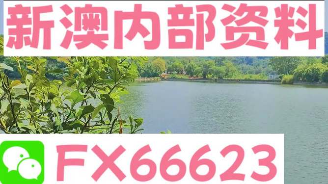 新澳精準(zhǔn)資料提供網(wǎng)站及其可用軟件綜述，新澳精準(zhǔn)資料提供網(wǎng)站與可用軟件概覽