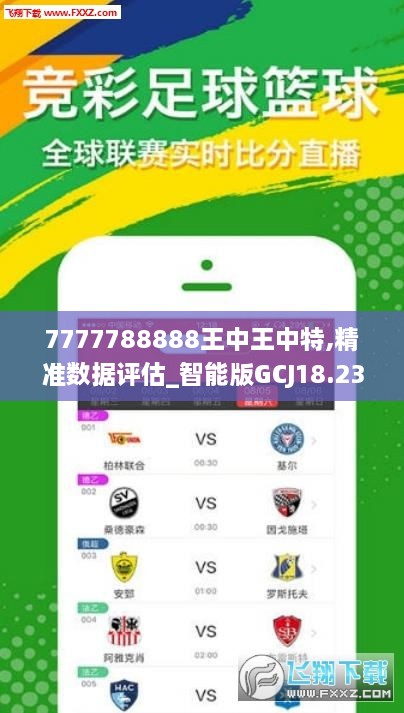 揭秘王中王7623，背后的故事與傳奇，揭秘王中王7623，背后的故事與傳奇之旅