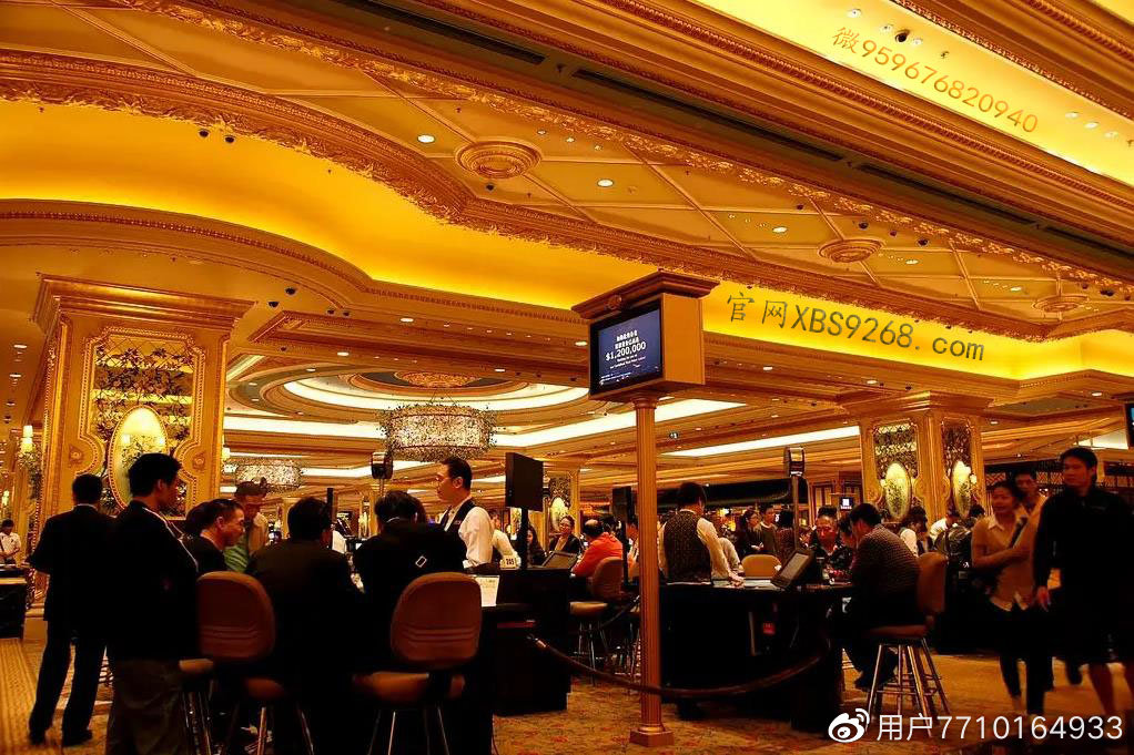 新澳門金龍app官方正版下載指南，澳門金龍app官方正版下載指南，最新、最全教程！