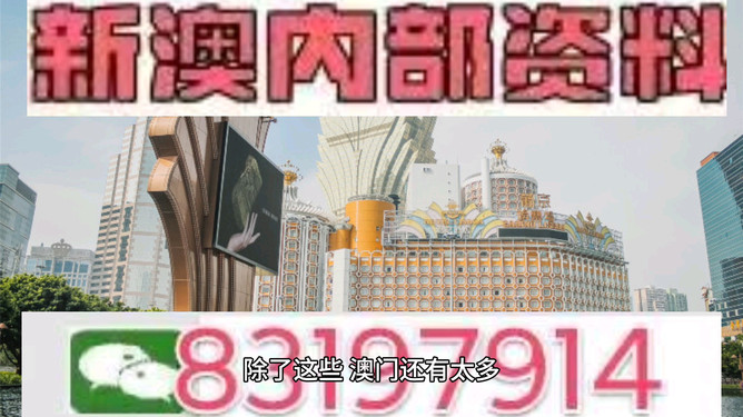 澳門今晚特馬開獎盛宴，2025年的期待與狂歡，澳門特馬開獎盛宴，2025年的期待與狂歡之夜