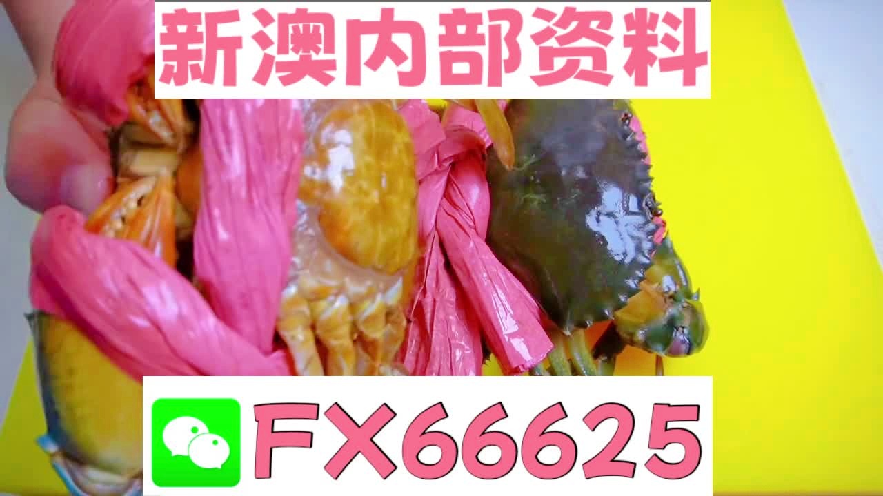 深度解析，2025新澳精準(zhǔn)資料大全，深度解析，2025新澳精準(zhǔn)資料大全概覽