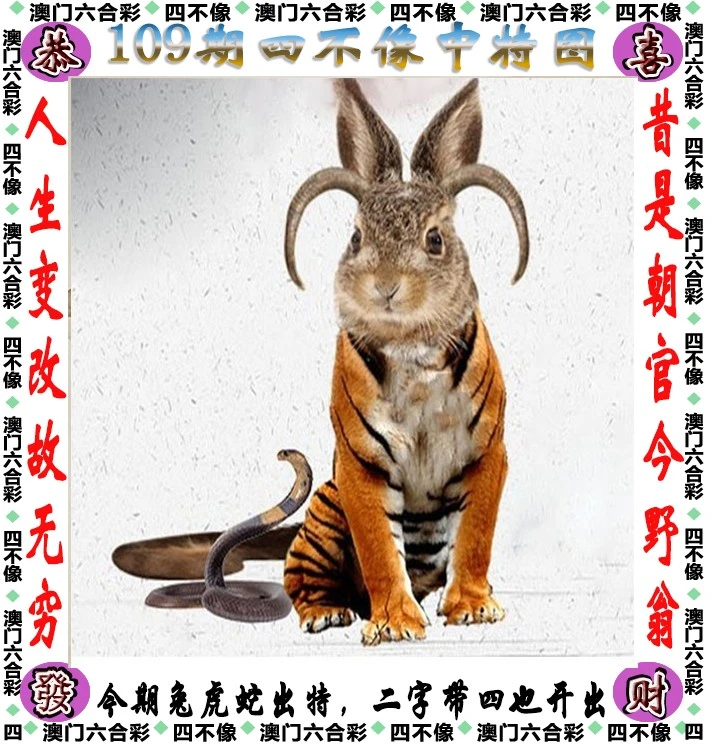 四不像今晚必中一肖4006，揭秘生肖運勢與神秘預測，揭秘四不像生肖運勢預測，今晚必中一肖4006的神秘運勢預測！