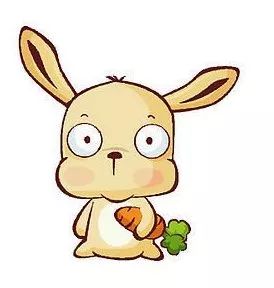 澳門一碼一肖一待一中四不像圖片——揭秘與探索，澳門神秘圖片揭秘，一碼一肖一待一中四不像的探索