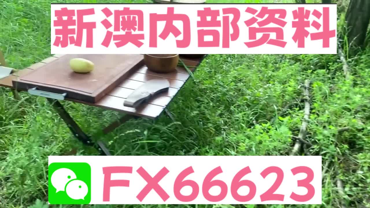 『深度解析』，2025新澳精準(zhǔn)資料大全詳解，深度解析，2025新澳精準(zhǔn)資料大全詳解與指南