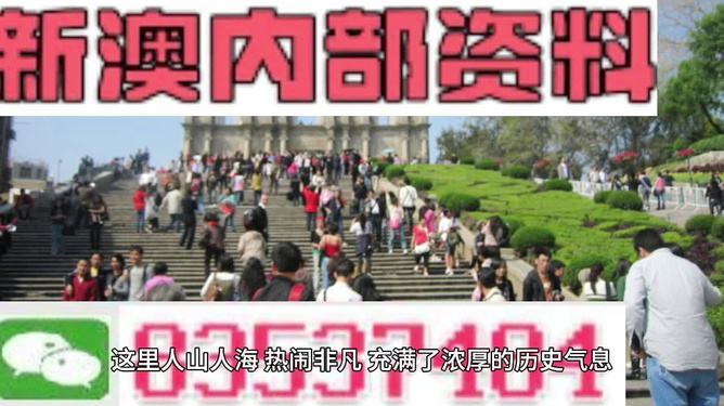 澳門最精準免費資料大全旅游團，探索澳門之旅的完美指南，澳門旅游團精準免費資料大全，完美指南探索澳門之旅