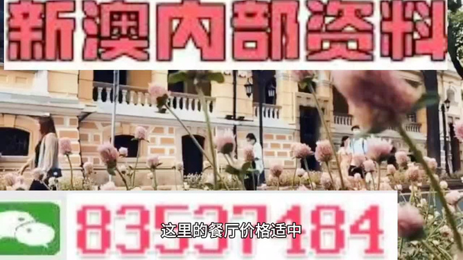 澳門最精準(zhǔn)免費(fèi)資料大全旅游團(tuán)，一站式解鎖澳門之旅，澳門旅游團(tuán)一站式攻略，精準(zhǔn)免費(fèi)資料大全，解鎖澳門之旅