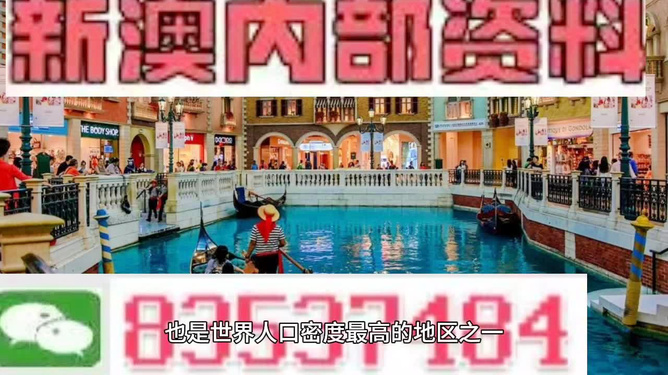 新澳門(mén)免費(fèi)精準(zhǔn)龍門(mén)客棧管家婆——探索現(xiàn)代澳門(mén)的神秘面紗，現(xiàn)代澳門(mén)神秘面紗揭曉，免費(fèi)精準(zhǔn)龍門(mén)客棧管家婆探索之旅
