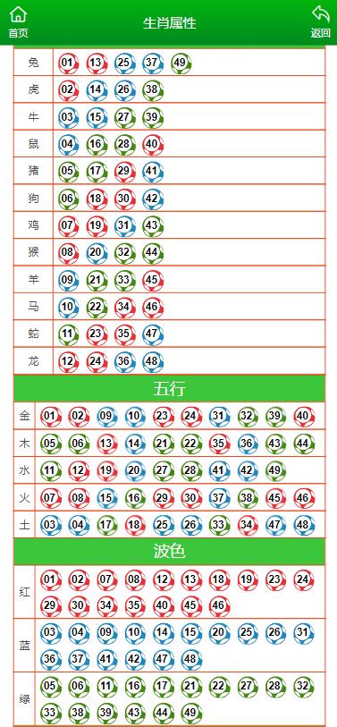 澳門一肖一碼騎士