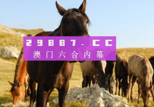 澳門管家婆——肖一碼的魅力與傳奇，澳門管家婆肖一碼的傳奇魅力