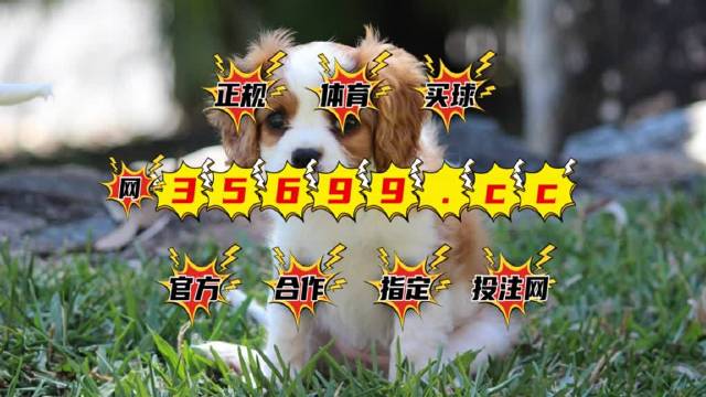 澳門特馬今期開獎結(jié)果2025年記錄全解析，澳門特馬2025年開獎結(jié)果全記錄解析
