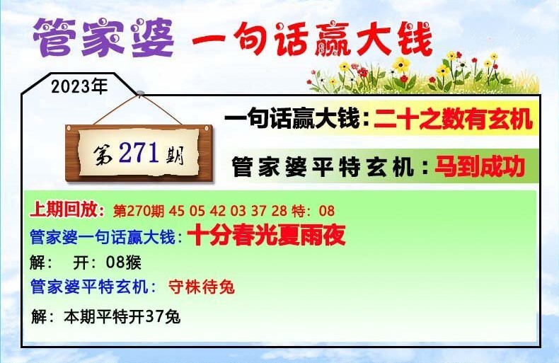 揭秘202管家婆一肖一碼，揭秘彩票背后的秘密，揭秘彩票背后的秘密，探究管家婆一肖一碼的神秘面紗