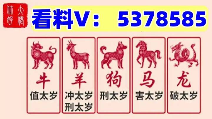 揭秘澳門特馬今期開獎(jiǎng)結(jié)果查詢——一網(wǎng)打盡最新資訊，澳門特馬最新開獎(jiǎng)結(jié)果及資訊查詢指南