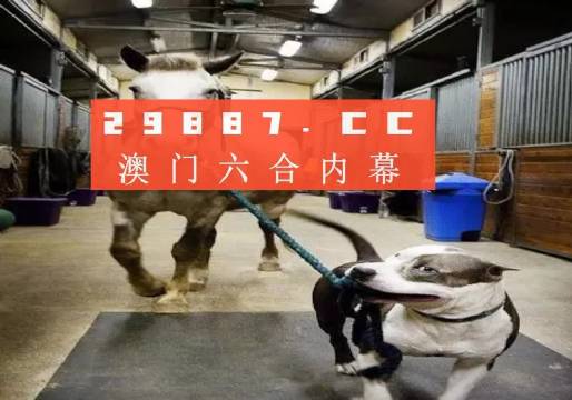 澳門一肖一碼一必中，同舟共濟(jì)向前行，澳門一肖一碼必中，同舟共濟(jì)向前行