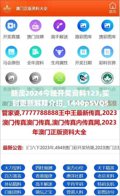 新澳2025年正版資料深度解析，新澳2025年正版資料深度剖析