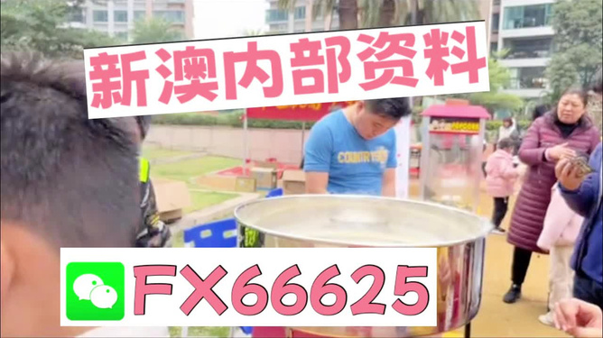 澳門正版免費全年資料大全旅游團，一站式體驗澳門的魅力，澳門魅力之旅，全年正版資料大全與旅游團一站式體驗