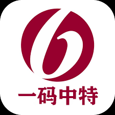 澳門一肖一碼一一子中特，探尋獨特魅力的文化寶藏，澳門文化寶藏探尋，一肖一碼一一子中的獨特魅力