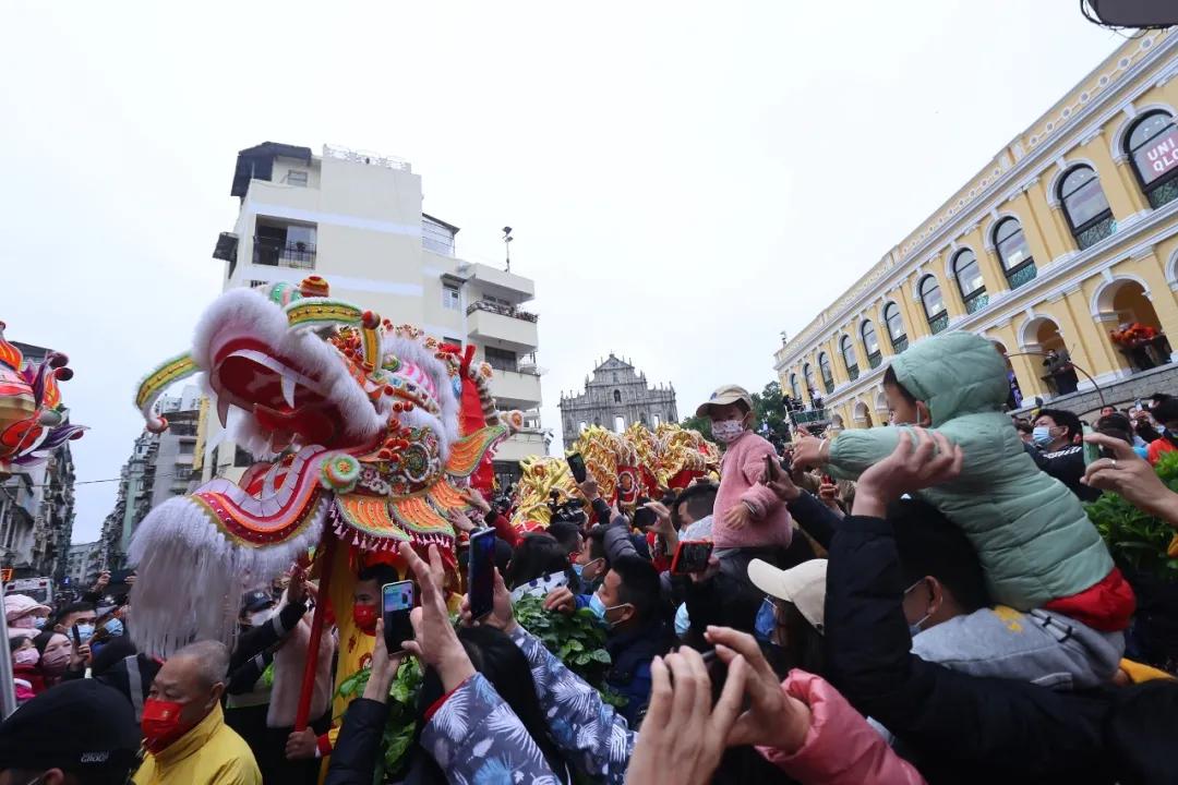 新澳門(mén)金龍app官方正版下載攻略，澳門(mén)金龍app官方正版下載指南