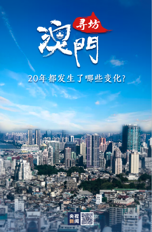 新澳門(mén)三碼的魅力與影響，澳門(mén)三碼的魅力及其深遠(yuǎn)影響