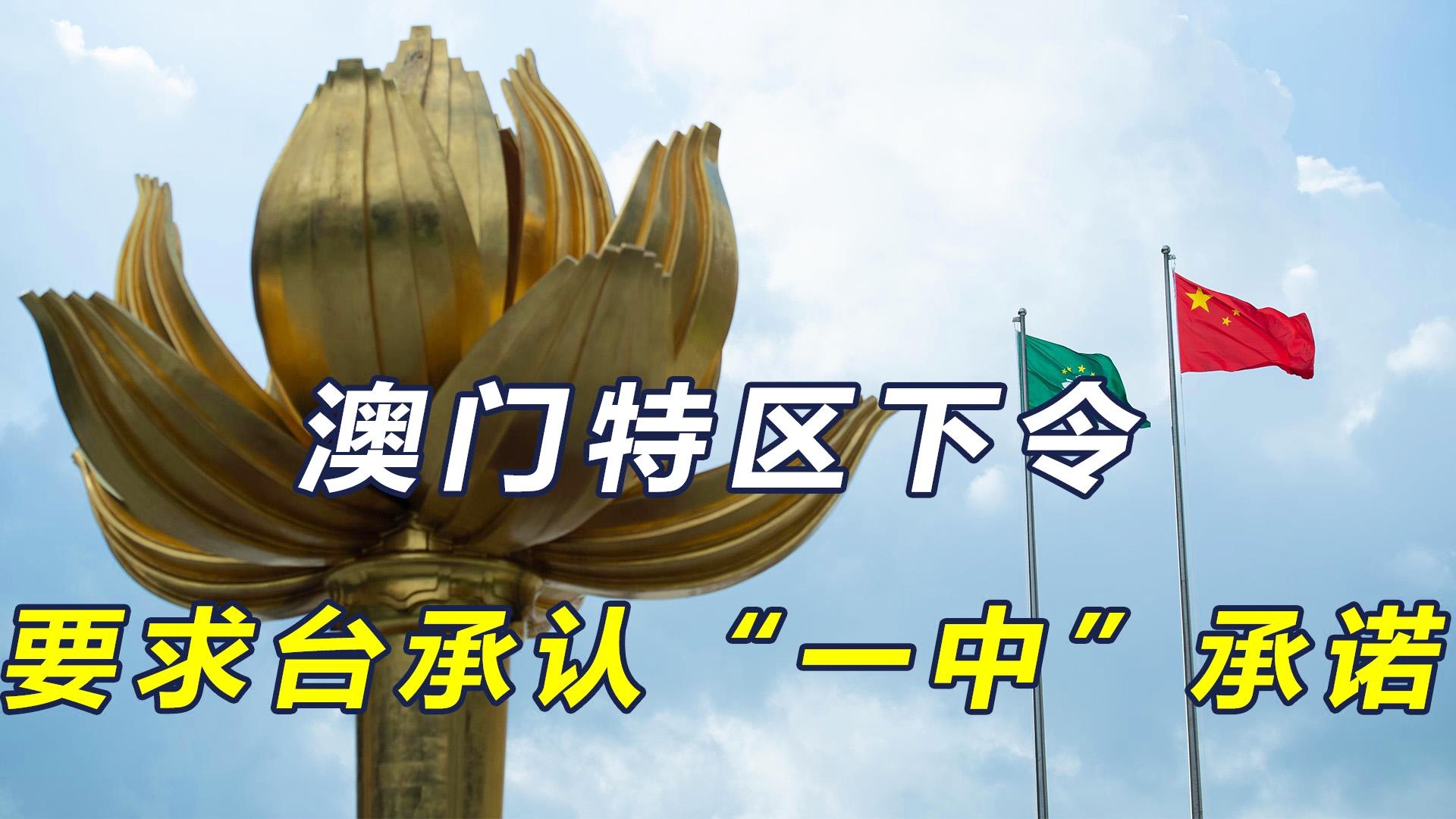 澳門一碼一肖一待一中四不像的獨(dú)特魅力，澳門一碼一肖獨(dú)特魅力，一待一中四不像的魅力展現(xiàn)