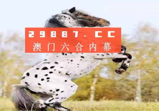 澳門今晚開正版四不像，揭秘博彩背后的故事，澳門博彩揭秘，正版四不像背后的故事