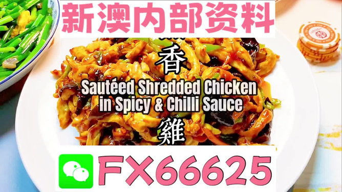 新奧長期免費資料大全，一網打盡所有你需要的知識，新奧長期免費資料大全，一站式獲取所有所需知識
